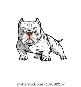 pix American Bully Cartoon american bully pitbull dog bully mom