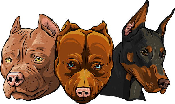 wallpapers American Bully Cartoon https www shutterstock com image illustration bully americanbully logo dog pitbull 1890582157