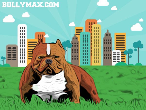 picture American Bully Cartoon redbubble