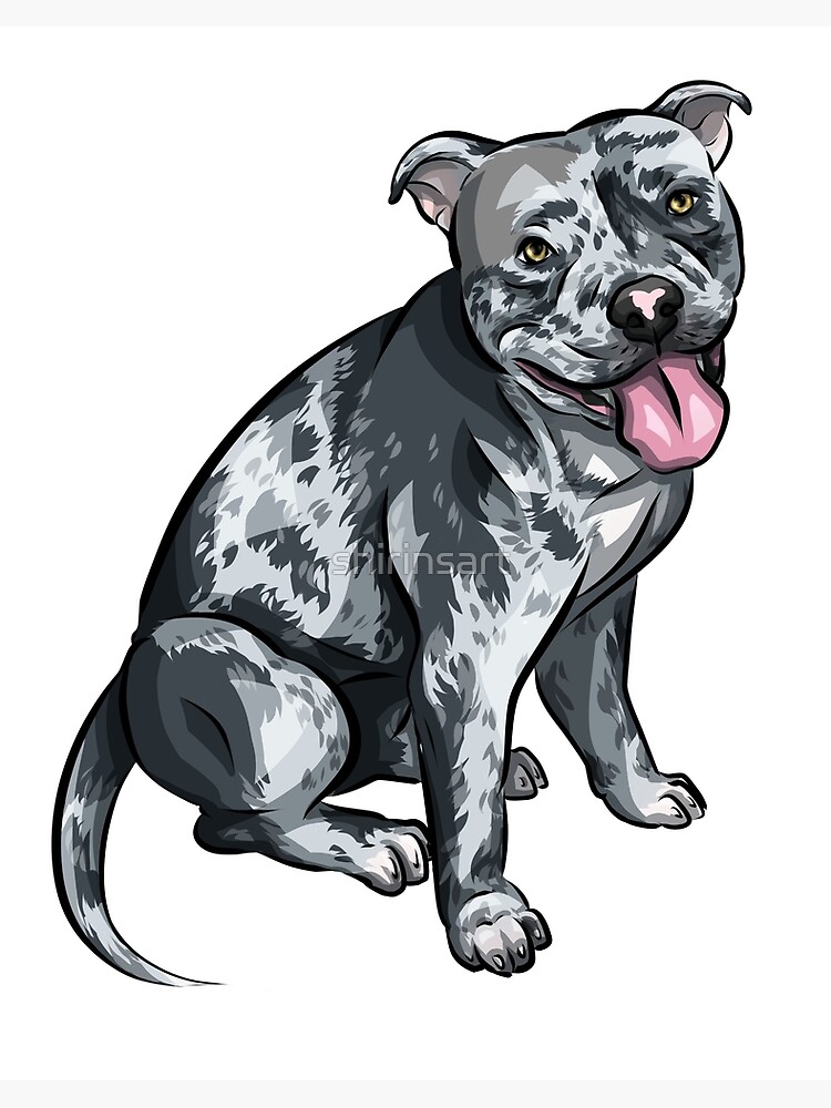 images American Bully Cartoon https stock adobe com images heads of dogs pitbull dobermann bulldog vector 416424325 start checkout 1 content id 416424325