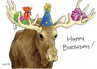 images Birthday Moose Image happy birthday handsome moose with a party hat