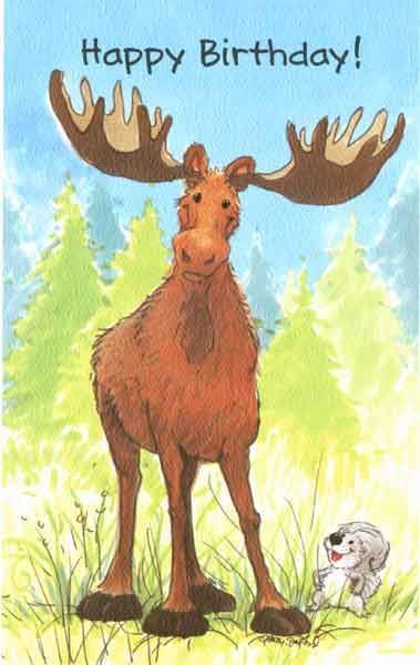 photo Birthday Moose Image moose birthday