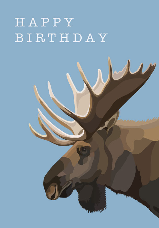 pics Birthday Moose Image happy birthday moose