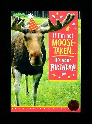photo Birthday Moose Image birthday moose antlers party hat confetti greeting card w tracking ebay