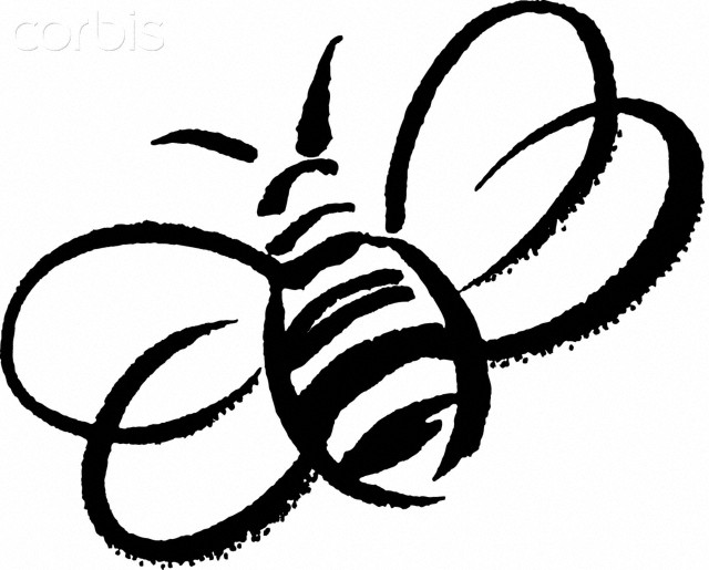 pic Black And White Bumble Bee Clipart clipart library
