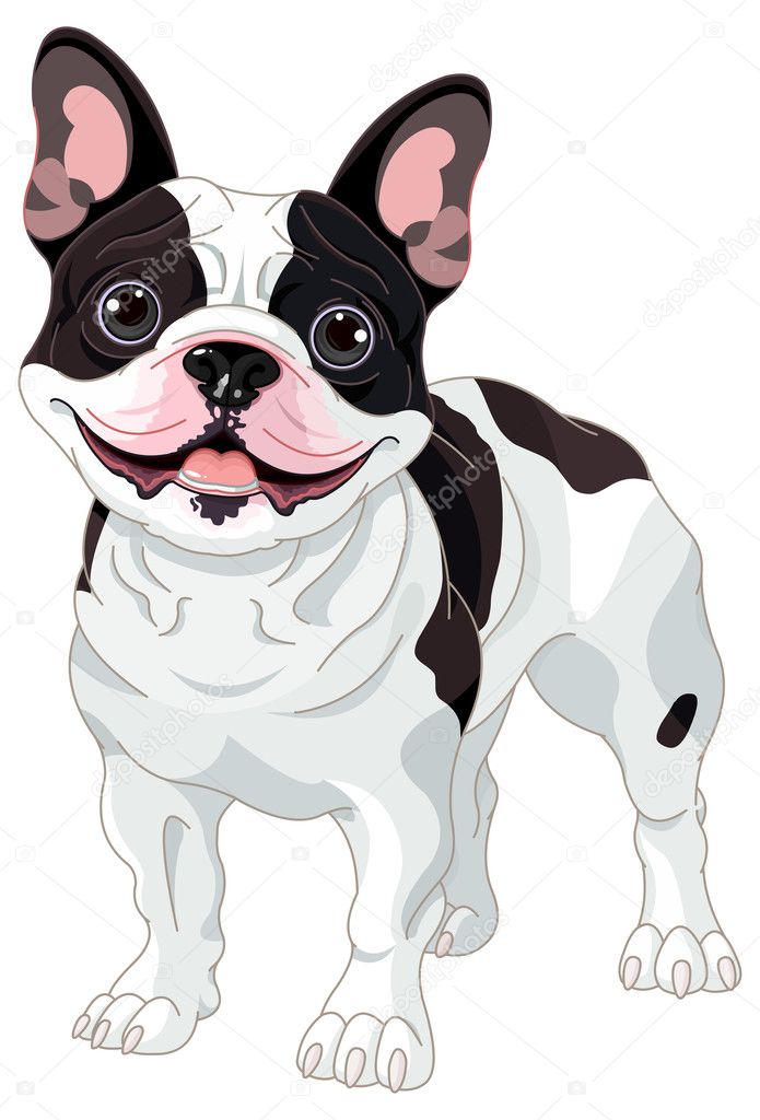 pic Black And White French Bulldog Cartoon 3 667 french bulldog illustrations clip art