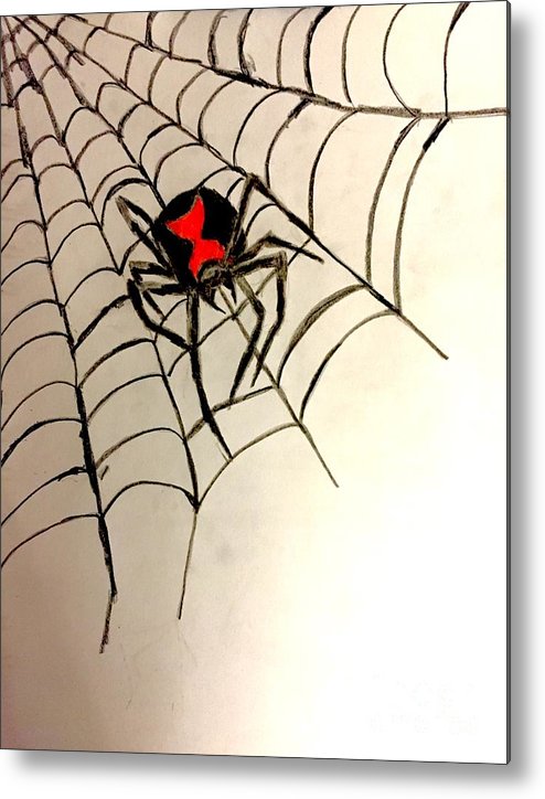 Black Widow Spider Web Drawing - Ventasa