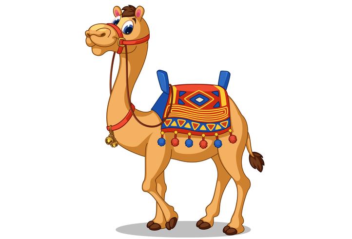 wallpapers Camel Cartoon Images vectorstock