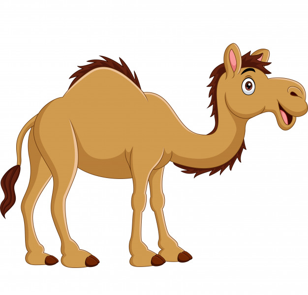 pics Camel Cartoon Images pin on cartoons