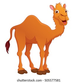 pix Camel Cartoon Images https www shutterstock com image vector cute camel cartoon 156398678
