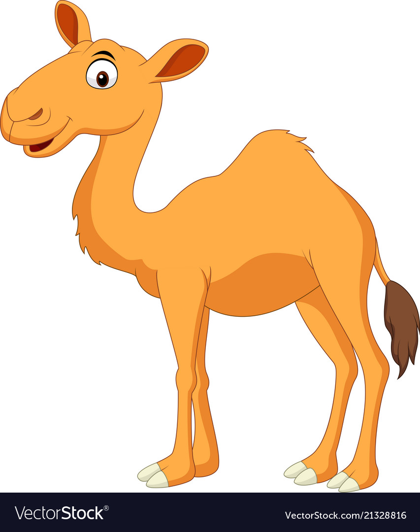 pix Camel Cartoon Images pin on flyer template layout