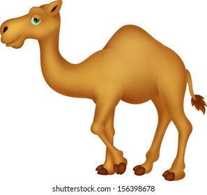 images Camel Cartoon Images vecteezy