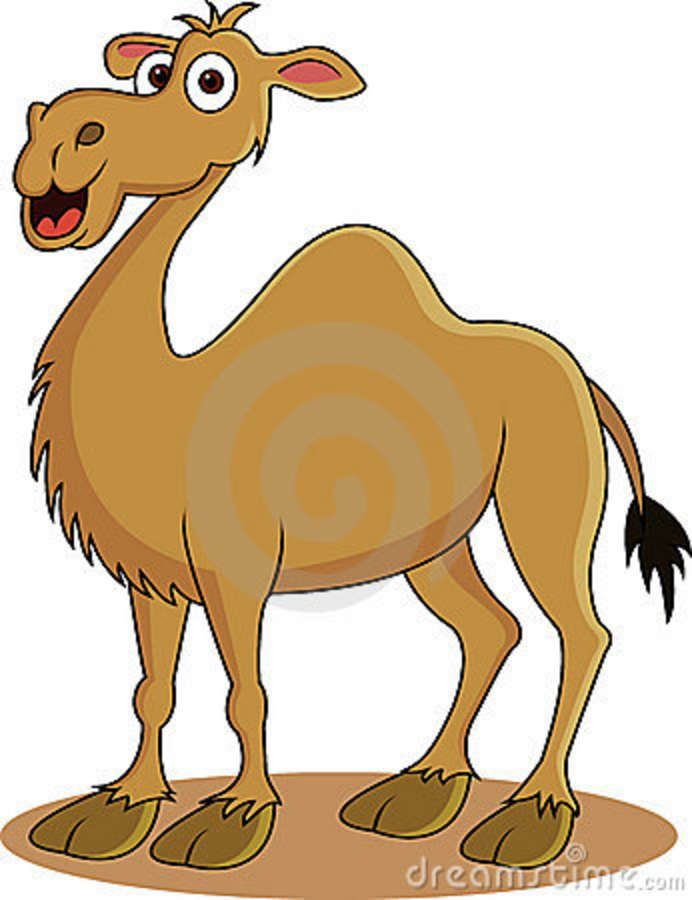 photo Camel Cartoon Images https www shutterstock com image vector vector illustration cartoon camel 505577581