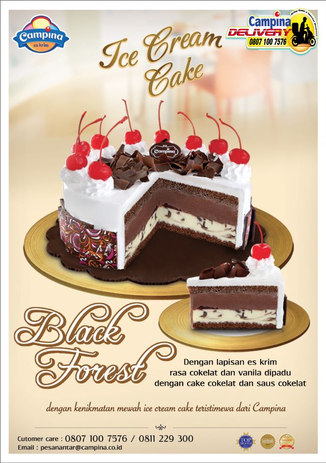 pics Campina Ice Cream Tart ice cream cake cassata chocolate ice
