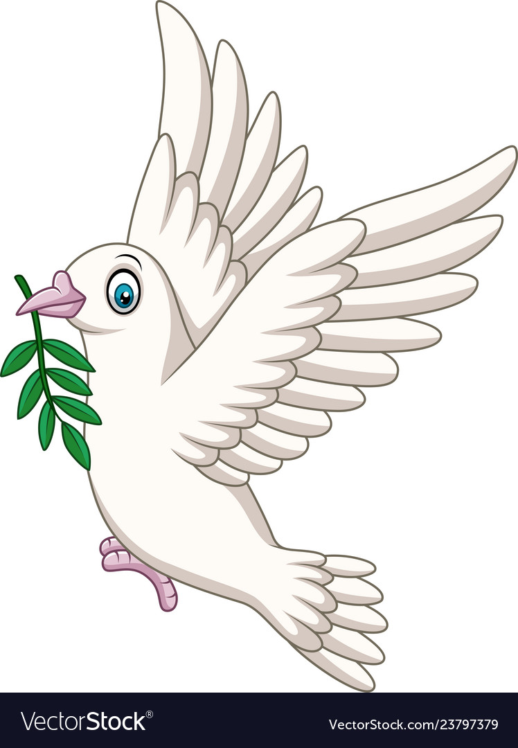 pics Cartoon Dove Bird https www dreamstime com illustration cartoon dove olive branch cartoon dove olive branch image138406554
