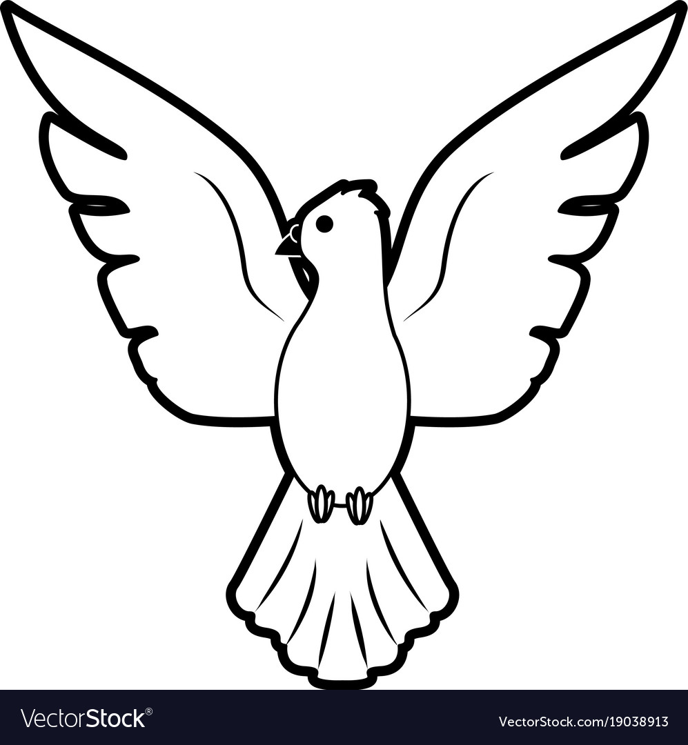picture Cartoon Dove Bird vectorstock