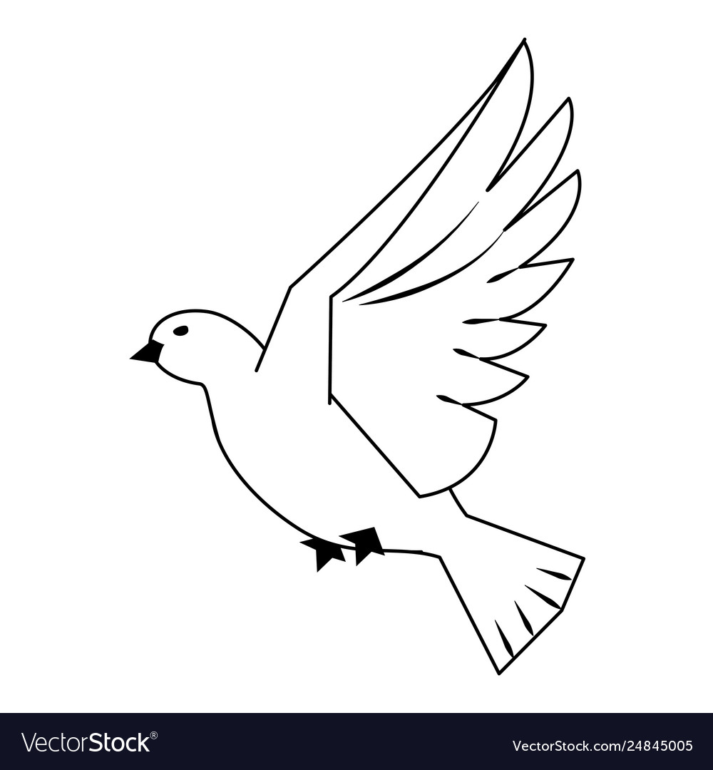 photo Cartoon Dove Bird vectorstock