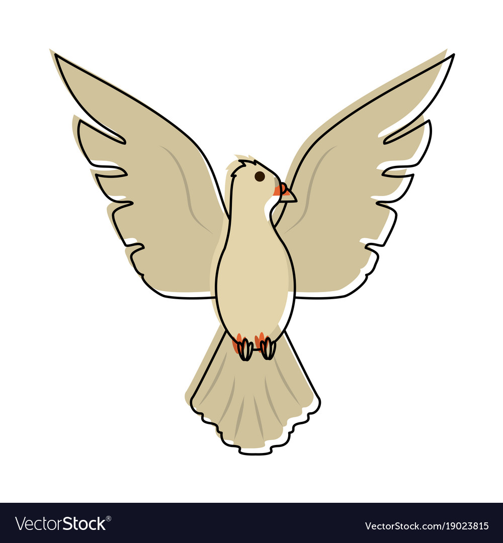 pics Cartoon Dove Bird dove peace bird cartoon vector illustration graphic design