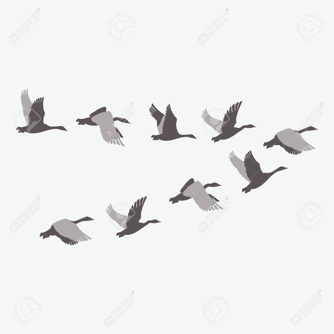 pic Cartoon Flock Of Birds vectorstock