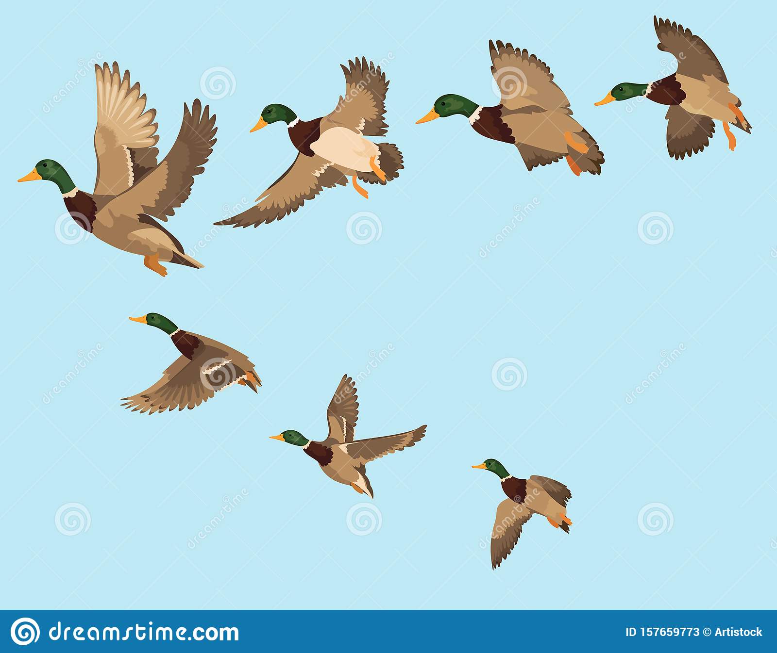 picture Cartoon Flock Of Birds vectorstock