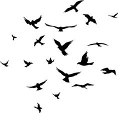 wallpapers Cartoon Flock Of Birds https www freepik com profile preagreement getstarted 8279122