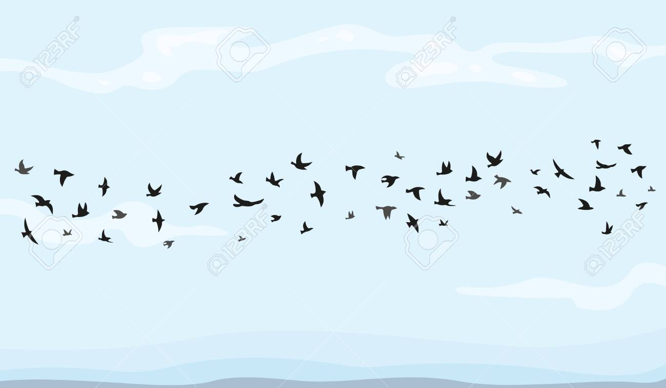 picture Cartoon Flock Of Birds flying birds clipart flock of birds