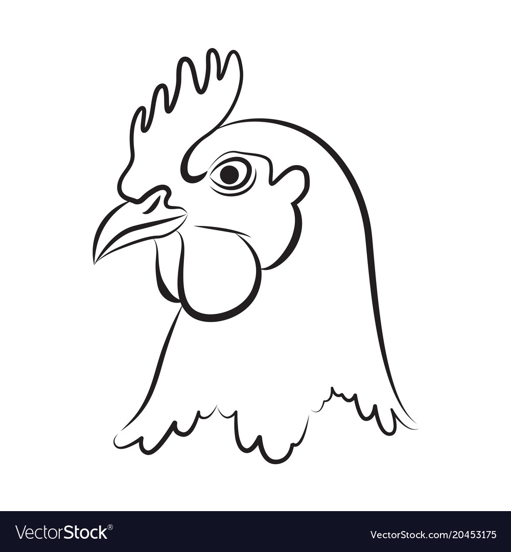 photo Chicken Head Outline vectorstock