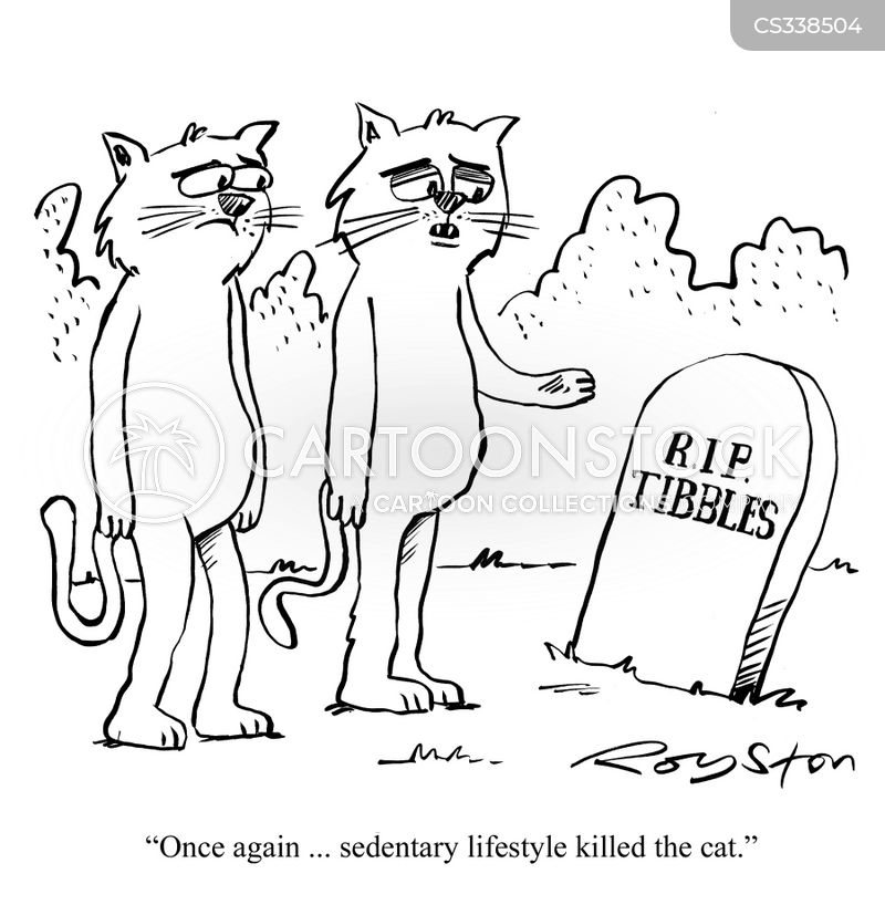 pic Dead Cat Cartoon Image https www cartoonstock com directory d dead cat asp