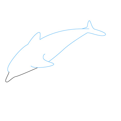 pics Delfin Zeichnen delfin zeichnen schritt fur schritt fur anfanger kinder zeichnen lernen