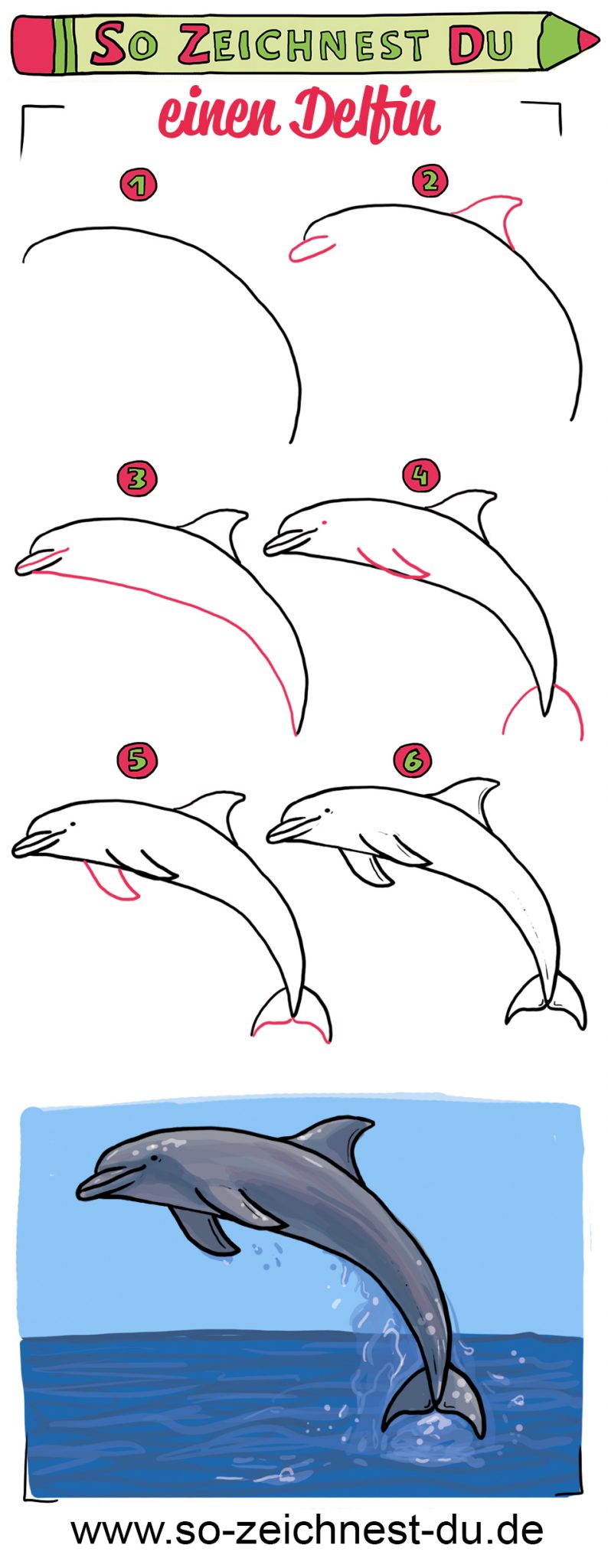 pix Delfin Zeichnen so zeichnest du einen delfin so