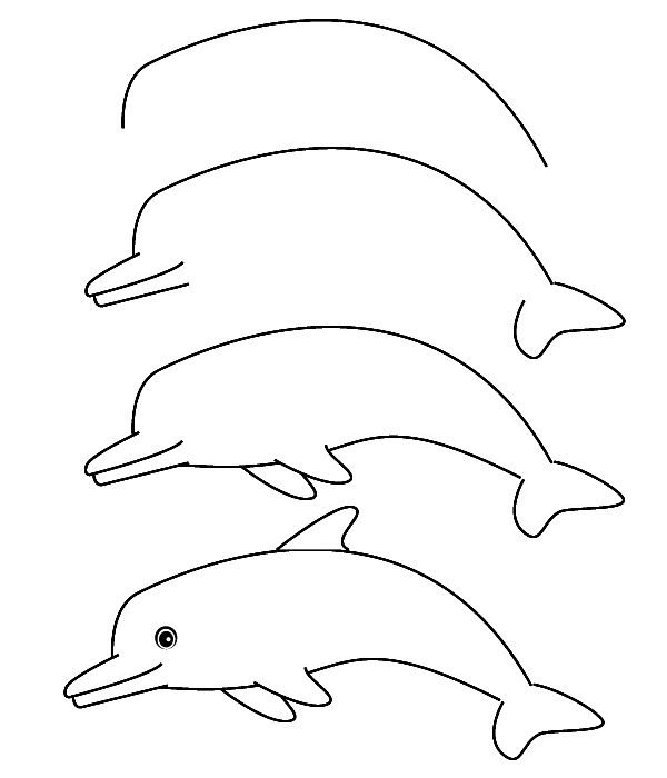 wallpapers Delfin Zeichnen delfin malvorlagen delfin malen