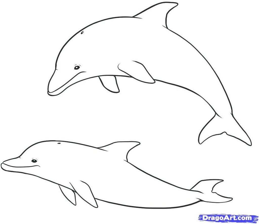 pics Delfin Zeichnen delfin zeichnen lernen mit buntstiften how to draw a dolphin kak se risuva delfin