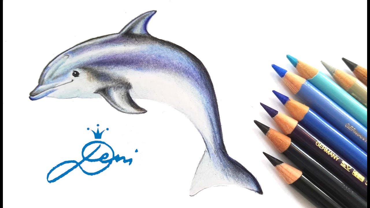 photo Delfin Zeichnen drawing dolphin malen und zeichnen
