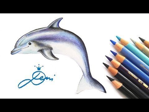 pix Delfin Zeichnen delfin einfach zeichnen lernen