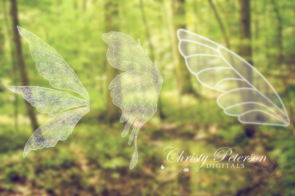 picture Digital Fairy Wings bee fairy wings overlays png files to edit