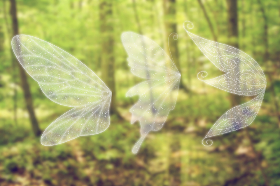 images Digital Fairy Wings how to draw fairy wings by jemajema on