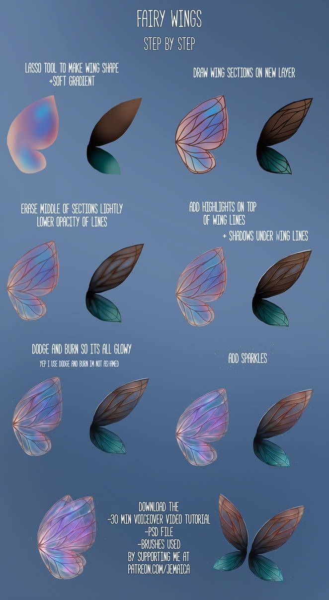 photo Digital Fairy Wings teasel fairy wings overlays png files to edit