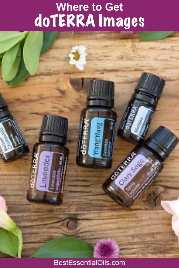 pics Doterra Images For Download doterra essential oils png download