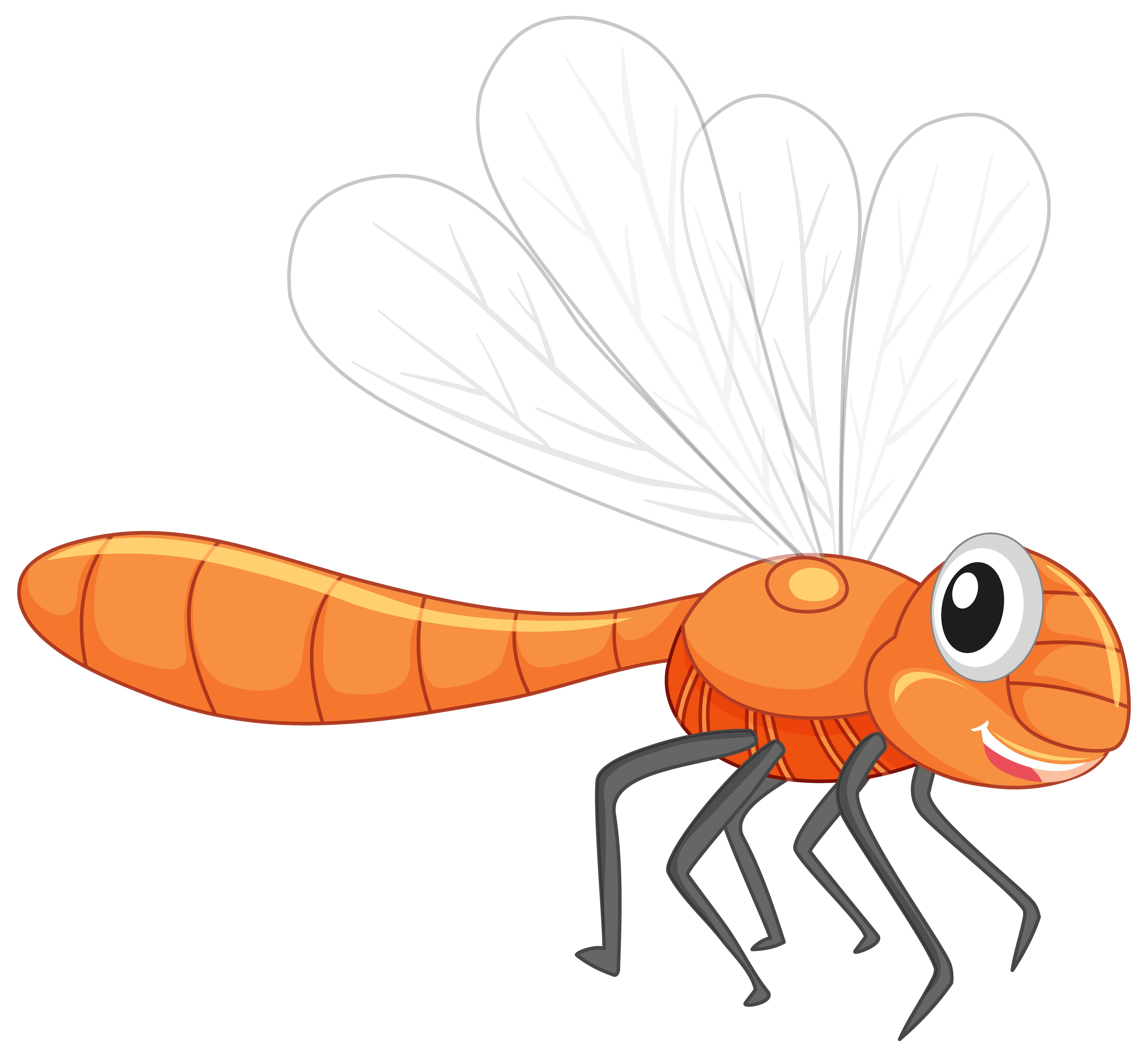 pix Dragonfly Cartoon Network dragon flyz wikipedia