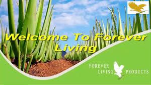 images Flp Hd Images image result for flp hd wallpaper