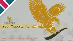 photo Flp Hd Images foreverliving log in the cover letter