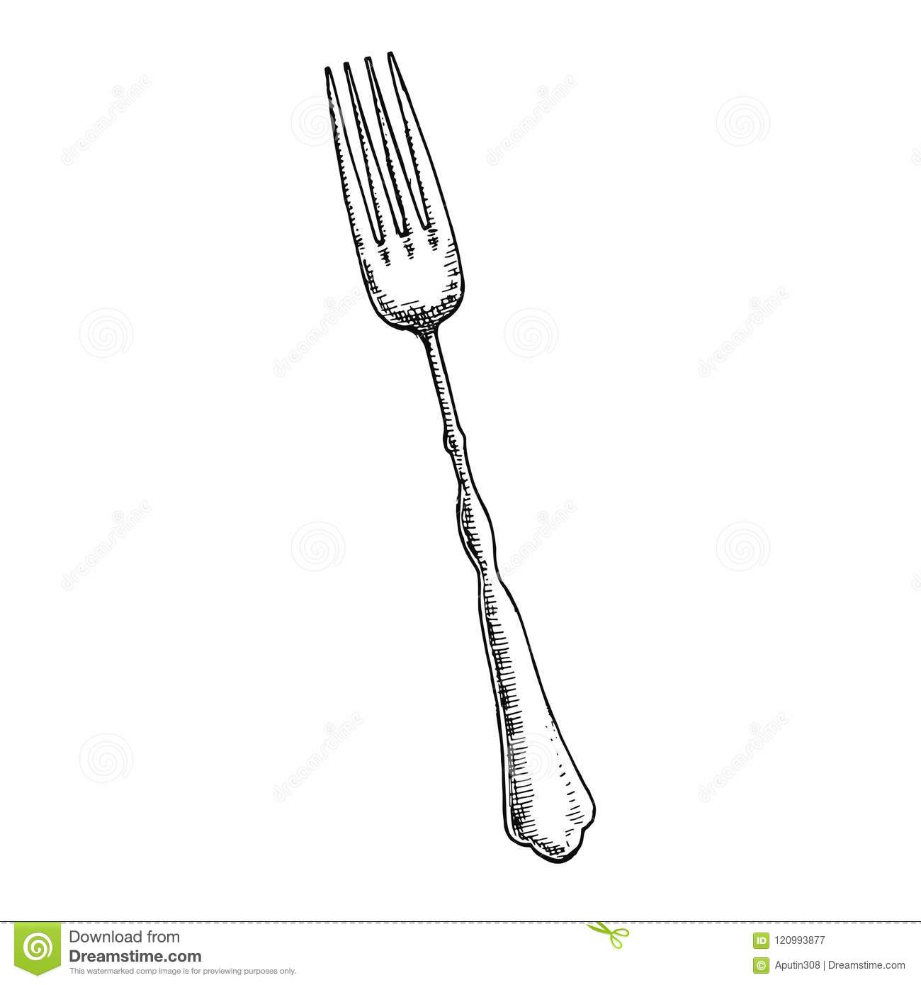 photo Fork Picture Drawing vectorstock
