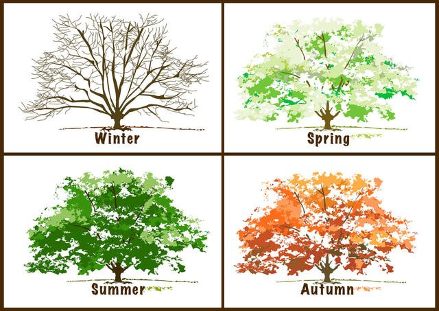 wallpapers Four Seasons Clipart Free four seasons trees clipart clip art