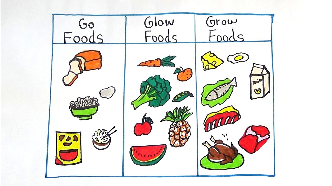 pic Go Grow And Glow Foods Images food groups general science quiz