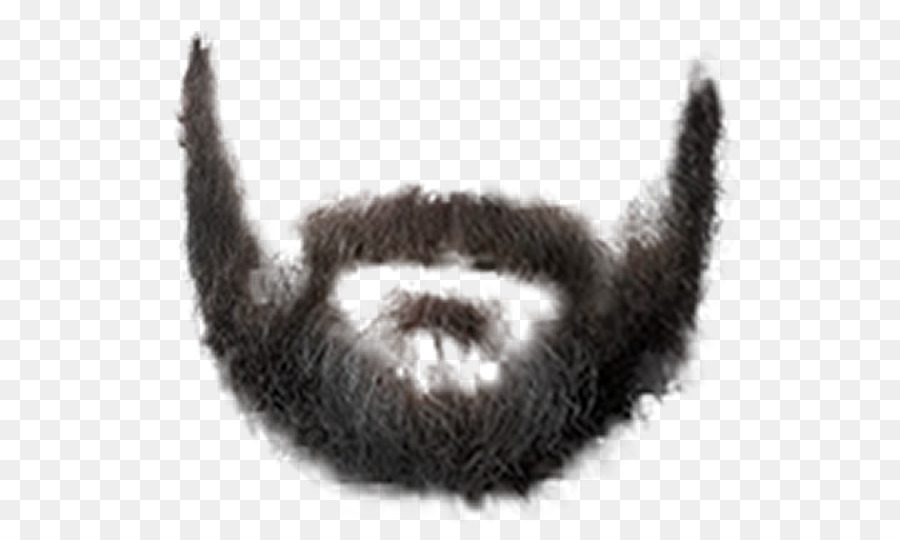 photo Goatee Transparent goatee transparent transparent png