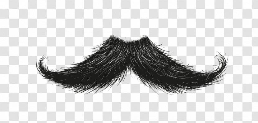 photo Goatee Transparent clipart library