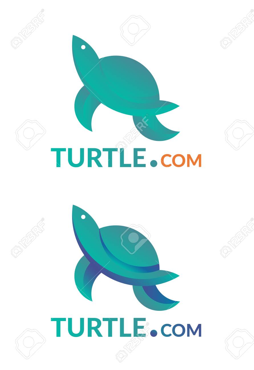 photo Golden Ratio Turtle https stock adobe com images turtle universe golden ratio illustration 229191725 start checkout 1 content id 229191725