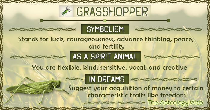 pic Green Grasshopper Superstition grasshopper spirit animal meaning