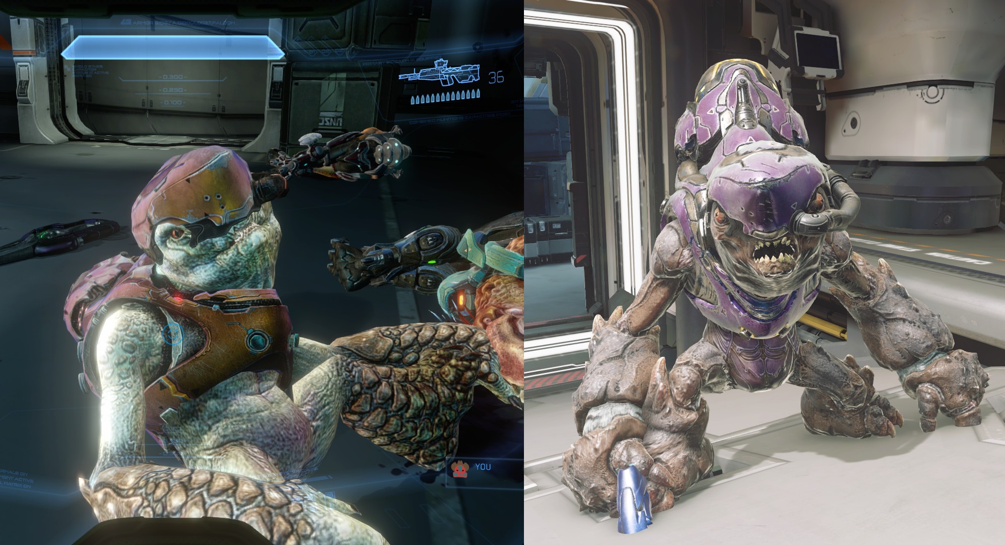 picture Grunt Face Halo after seeing the fixed covenants i