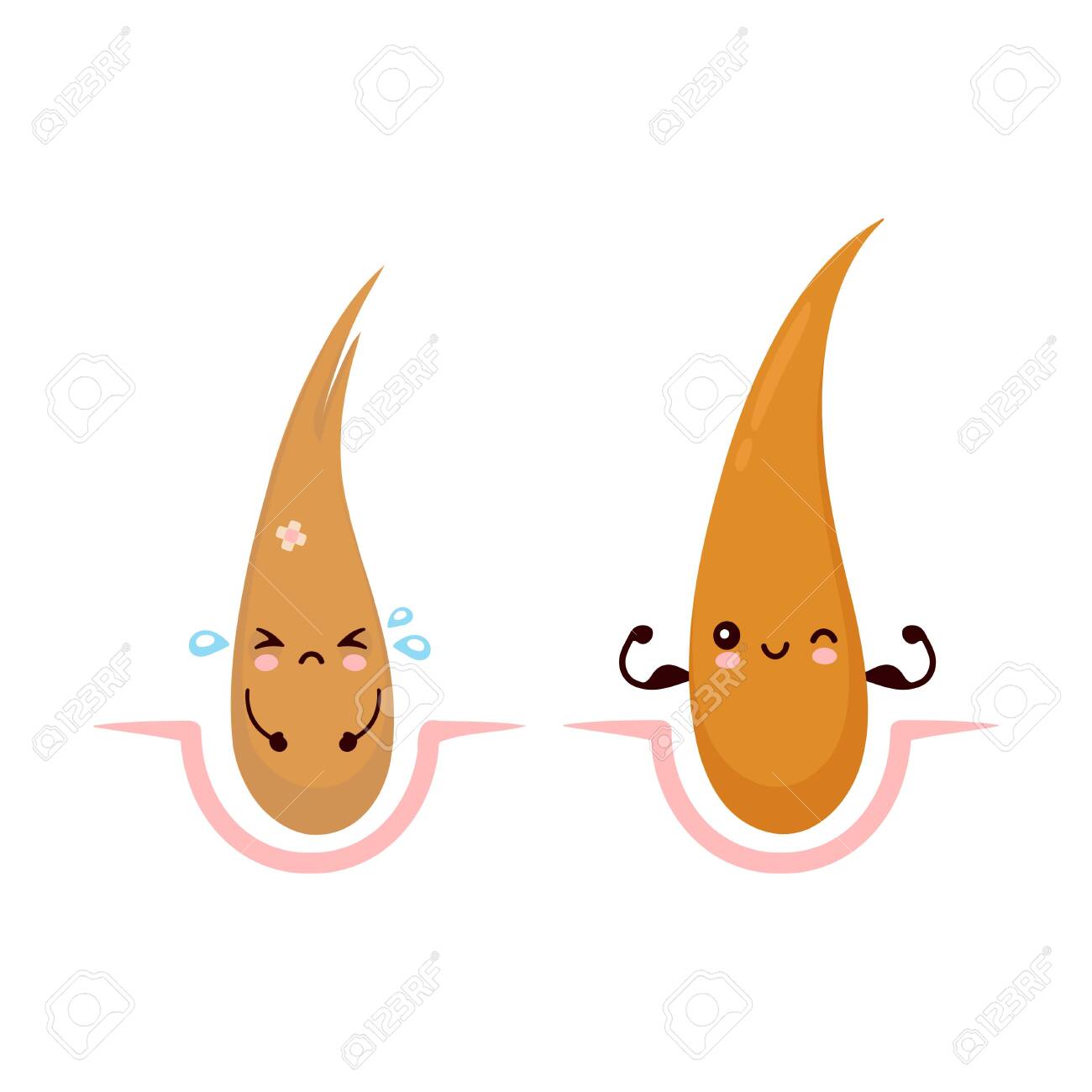 pix Healthy Hair Cartoon dreamstime com